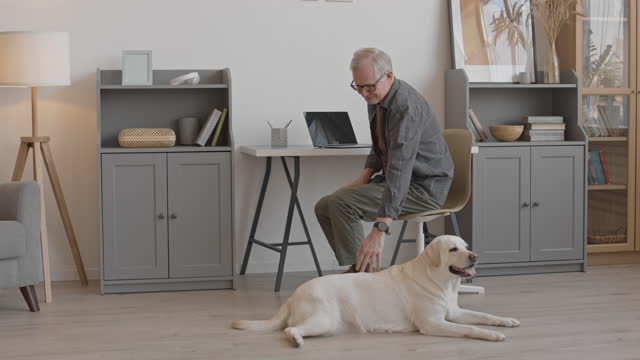 Senior Dog Owner Working on Laptop from Home