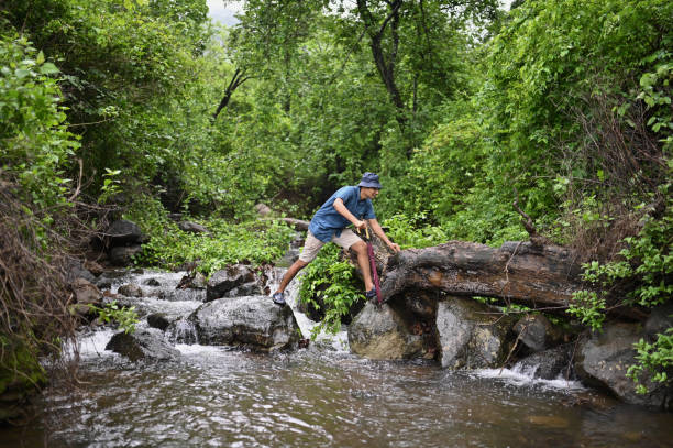 Free picture: water, stream, rain, season