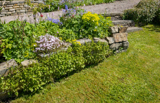 istock Rockery in a public park 1325263460