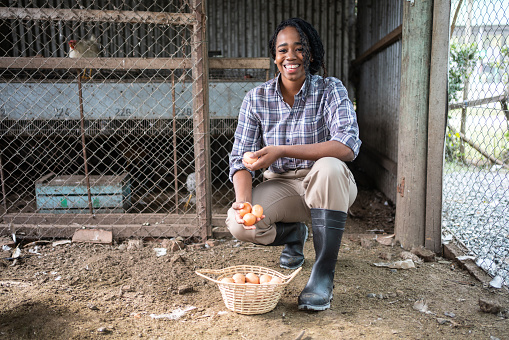 Happy female worker collecting eggs and keeping them in a wicker basket in the farm. Woman working on a poultry farm.