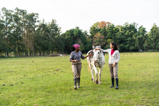 alleatrici con un cavallo nella zootecnia - training african descent business multi ethnic group foto e immagini stock