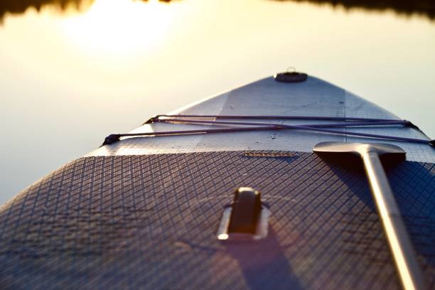 istock surf board with paddle in sunset light on blue water surface background close up 1325264745