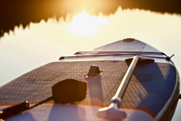 istock surf board with paddle in sunset light on blue water surface background close up 1325264795