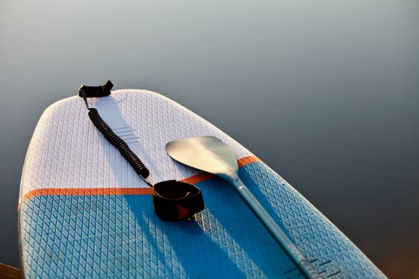 istock surf board with paddle in sunset light on blue water surface background close up 1325265090