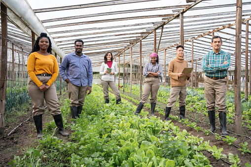 Portait of team of farm workers standing in the greenhouse. Multi-ethnic group of farm workers standing together wearing rubber boots.