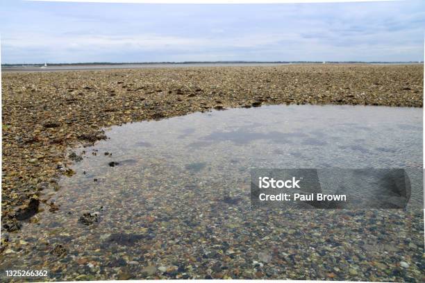 Calshot Beach Hampshire Uk Stock Photo - Download Image Now - 2020, Beach, British Culture