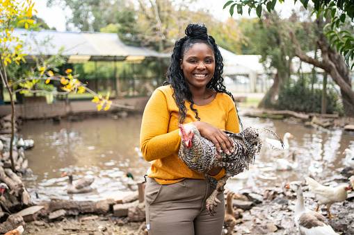 Smiling woman holding a chicken while standing by a pond on the farm. Female poultry farm worker carrying a chicken looking at camera and smiling.