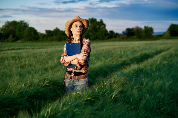 Woman in the wheat field