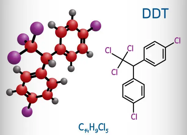 Vector illustration of DDT, dichlorodiphenyltrichloroethane molecule. It is commonly used organochlorine insecticide. Structural chemical formula and molecule model