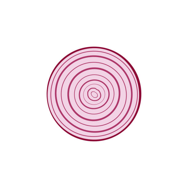 red onion sliced into ring isolated on white red onion sliced into ring isolated on white background, food element design, vector illustration onion layer stock illustrations