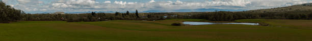 willamette valley collina panoramica - corvallis foto e immagini stock