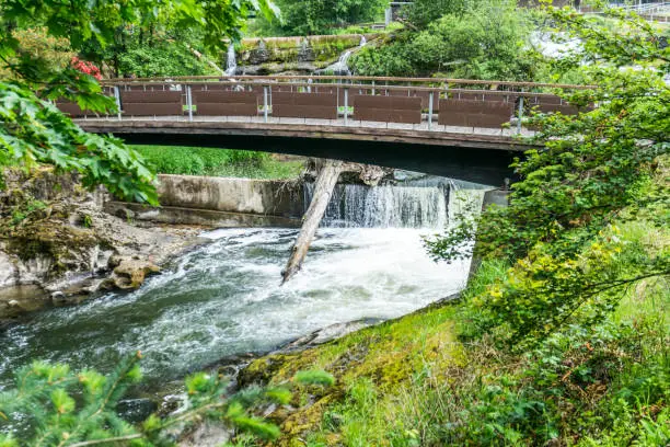 Photo of Walking Bridge At Tumwater Falls