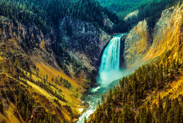 istock Yellowstone National Park river running through it 1325273472