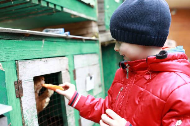 istock Child feeding Rabbit with carrot on farm 1325274232