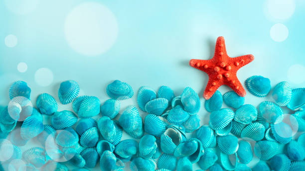 istock Blurred still Summer Sea life with Red starfish on blue green shells 1325275787