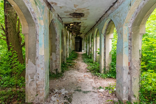 The abandoned Fernbach Castle, also known as Baba Pusta, was built in 1906 by Karol Fernbach for his own needs. Aleksa Santic, Serbia - June 06, 2021: The abandoned Fernbach Castle, also known as Baba Pusta, was built in 1906 by Karol Fernbach for his own needs. pusta stock pictures, royalty-free photos & images