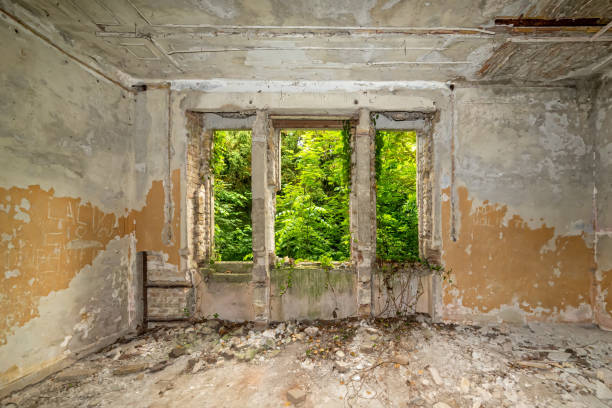 The abandoned Fernbach Castle, also known as Baba Pusta, was built in 1906 by Karol Fernbach for his own needs. Aleksa Santic, Serbia - June 06, 2021: The abandoned Fernbach Castle, also known as Baba Pusta, was built in 1906 by Karol Fernbach for his own needs. pusta stock pictures, royalty-free photos & images