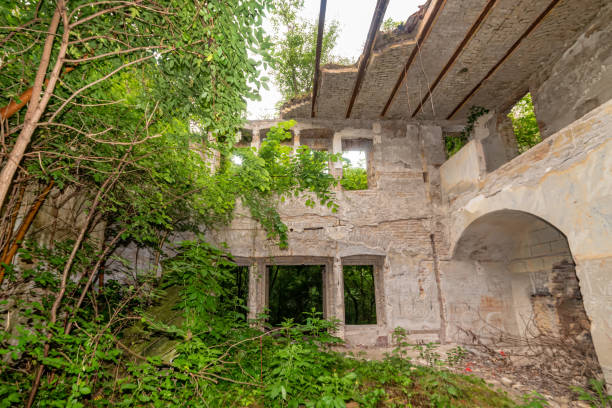 The abandoned Fernbach Castle, also known as Baba Pusta, was built in 1906 by Karol Fernbach for his own needs. Aleksa Santic, Serbia - June 06, 2021: The abandoned Fernbach Castle, also known as Baba Pusta, was built in 1906 by Karol Fernbach for his own needs. pusta stock pictures, royalty-free photos & images