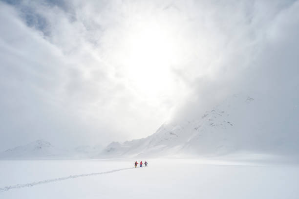 esquiadores de fondo escalan las rocosas nevadas canadienses - determination telemark skiing exploration winter fotografías e imágenes de stock