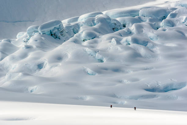 les skieurs de l’arrière-pays escaladent les rocheuses canadiennes enneigées - telemark skiing photos photos et images de collection