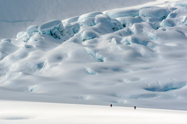 esquiadores sertanejos sobem montanhas rochosas canadenses nevadas - telemark skiing fotos - fotografias e filmes do acervo