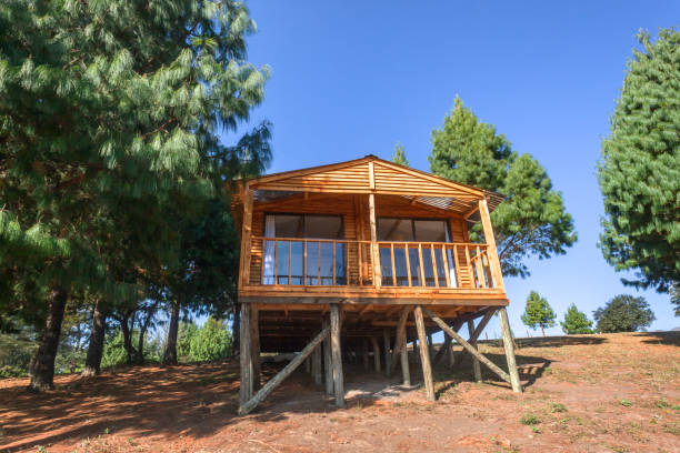 istock Mountain Wood Cabin Trees 1325283685