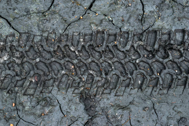 tires track in the wet mud outdoors. - dirt road textured dirt mud imagens e fotografias de stock