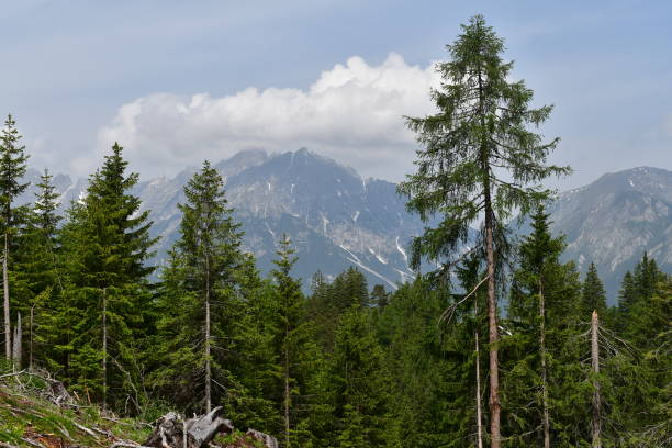 istock Beautiful landscape in Stubai valley mountains behind 1325286797