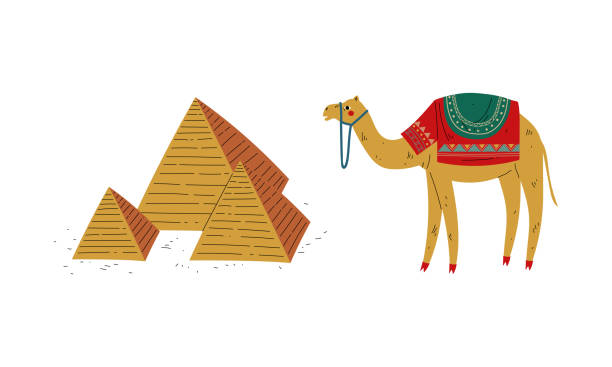 ilustrações de stock, clip art, desenhos animados e ícones de camel animal and triangular pyramid structure vector set - egypt camel pyramid shape pyramid