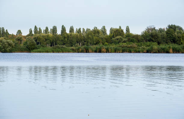 istock Summer hazy day on picturesque lake 1325290226