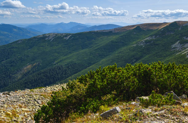 istock Summer Carpathian mountains view. Stony Gorgany massif, Ukraine. 1325290374