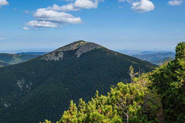 istock Summer Carpathian mountains view. Stony Gorgany massif, Ukraine. 1325292119