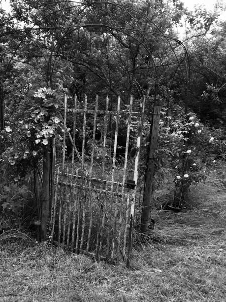 Portal of the past in a garden