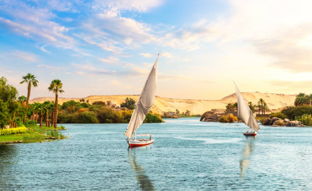 istock Aswan in Egypt, beautiful Nile view with sailboats 1325294551
