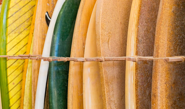 row of surfboards in a shop - skeg imagens e fotografias de stock