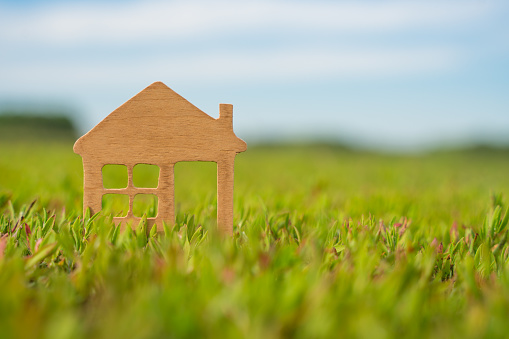 Wooden house model in the grass on a background of greenery and sky. Concept eco ecology construction, purchase, mortgage and investment in real estate, savings for a house.