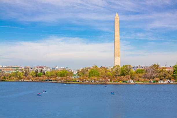 米国ワシントンdcの背景にホワイトハウスと潮汐盆地を横切って見られるワシントン記念碑。 - washington dc day white house american flag ストックフォトと画像