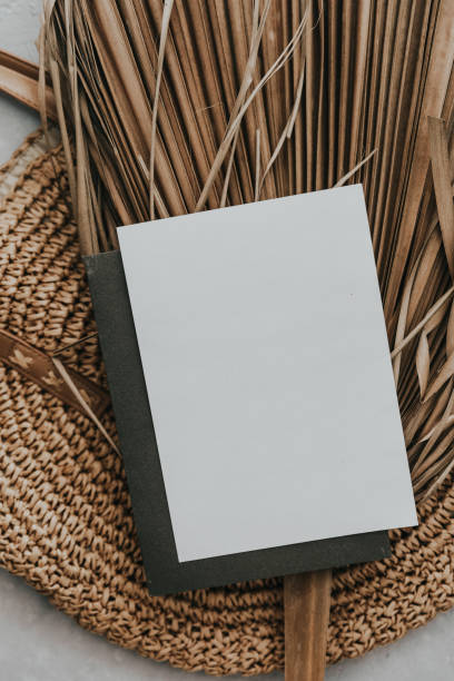istock Creative summer minimal mock-up. Dried palm leaves and coconut  on neutral background. Still life minimal concept. Flat lay, top view, copy space, square 1325304019