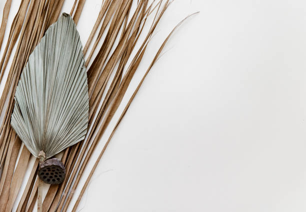 istock Minimal Summer stationery still life scene. Dry palm leaf on neutral background. 1325304119