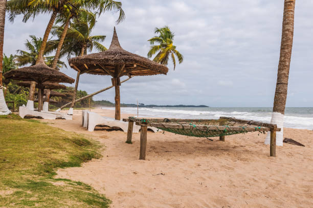 istock Afica beach with coconut palm trees 1325304237