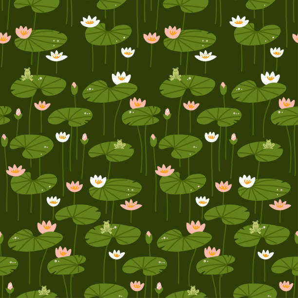 ilustraciones, imágenes clip art, dibujos animados e iconos de stock de patrón isométrico de nenúfar plano sin costuras. lotos rosados y blancos con ranas. ilustración vectorial plana verde. - lillypad lily water lily water