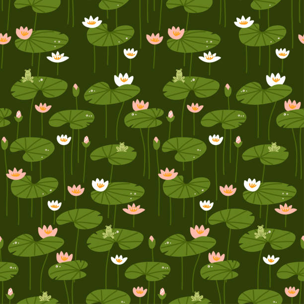 등도 측정 플랫 수련 매끄러운 패턴. 개구리와 분홍색과 흰색 연꽃. 녹색 플랫 벡터 그림입니다. - water lily stock illustrations