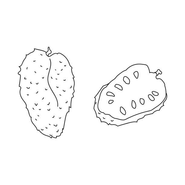 guanabana fruit, tropical plant sausep, large fruit with seeds coloring page guanabana fruit, tropical plant sausep, large fruit with seeds coloring page vector illustration annona muricata stock illustrations