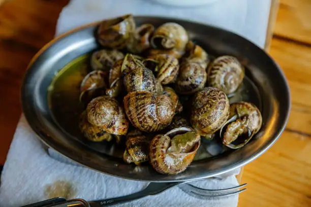 Escargots de Bourgogne, Snails herbs butter, traditional pan with parsley sauce, wooden table, gray background, selective focus, Private snail farm, Prague, Czech Republic, June 18, 2021