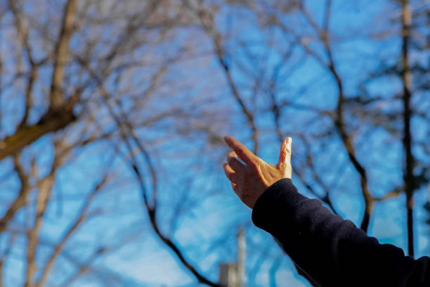Asian elderly people practicing Tai Chi at a public park in Tokyo, Japan.