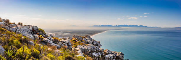 Coastal mountain landscape with fynbos flora in Cape Town Coastal mountain landscape with fynbos flora in Cape Town South Africa fynbos photos stock pictures, royalty-free photos & images