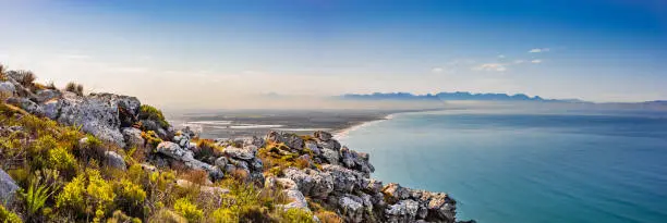 Photo of Coastal mountain landscape with fynbos flora in Cape Town