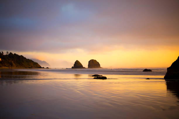 istock Colorful sunset at Cannon Beach, Oregon during low tide 1325318400