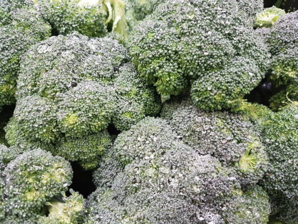 istock Vegetables in the Region of Waterloo Canada 1325319099