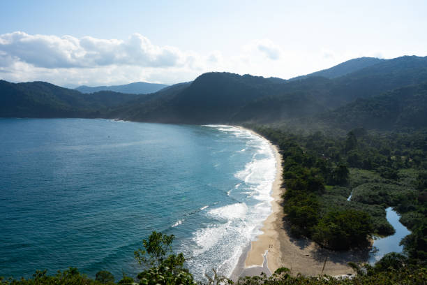 istock Sono beach view from above, blue sea in the image left and dense forest in the right with small river coming from it 1325319821